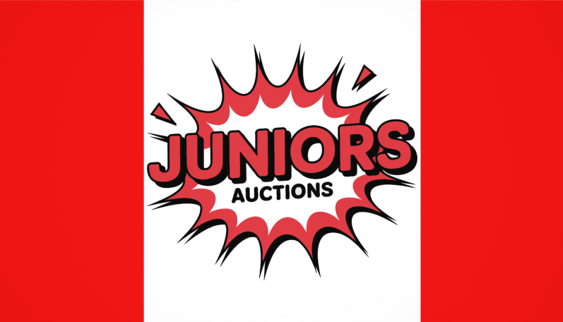 Juniors Auctions