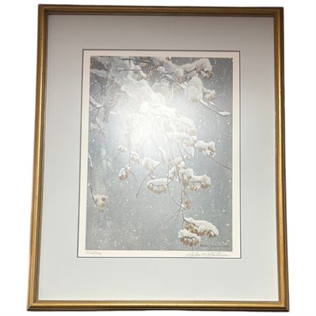 Framed Robert Bateman Print "House Sparrow & Bittersweet" #452 Of 950