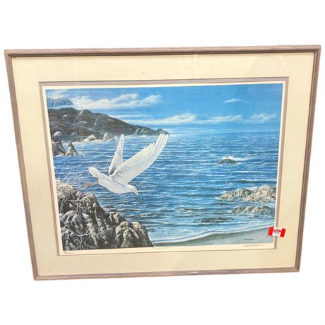 Large Framed Ap "9 Gulls Aloft" Signed By Robert Stacey