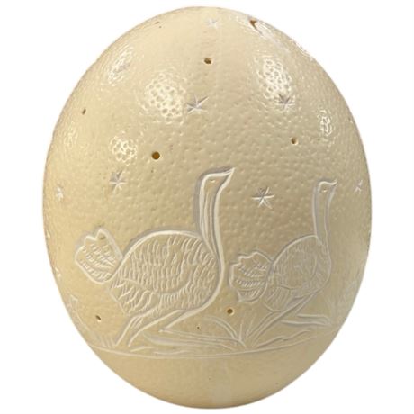 Carved Ostrich Egg