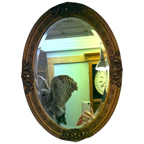 Vintage Ornate Gold Gilded Bevelled Oval Mirror