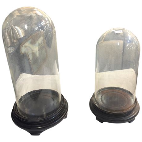 Pair Of Glass Display Domes, With Bases