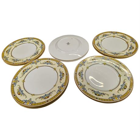 11 Vintage Minton Decorated Plate
