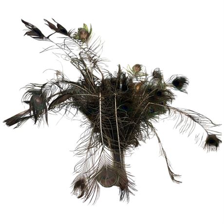 Glass Vase Full Of Peacock Feathers