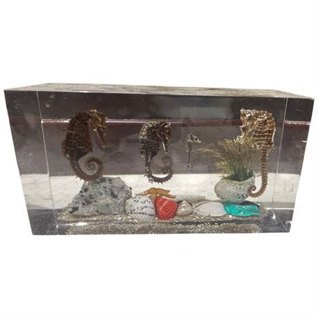 Resin Sea Horse Paper Weight