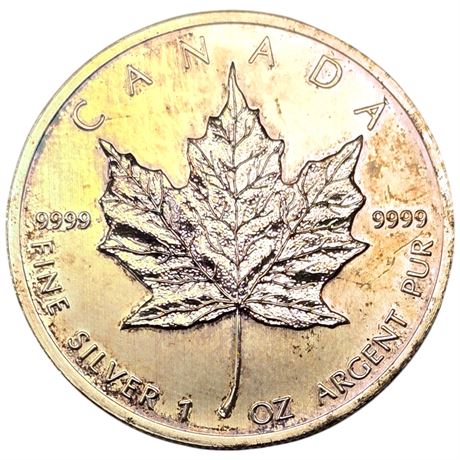 2013 $5 .9999 Fine Silver Ounce Canadian Coin In Spiral Leather Case