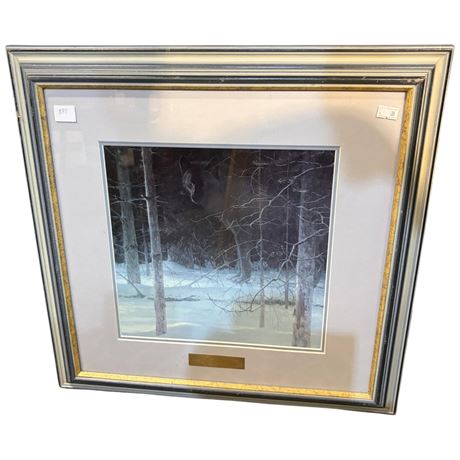Framed Robert Bateman Print "Midnight Black Wolf"